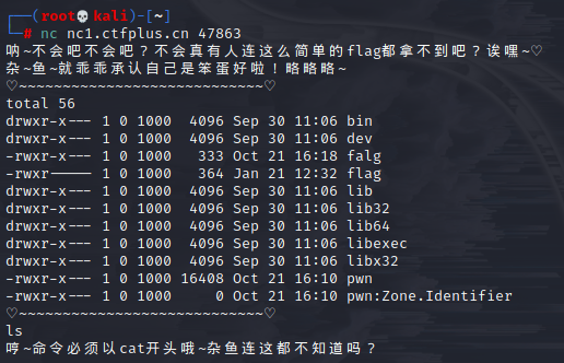 屑nc | CTF+